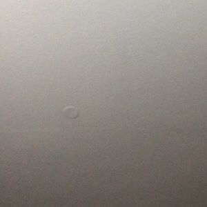 Meet your Posher, Kenny